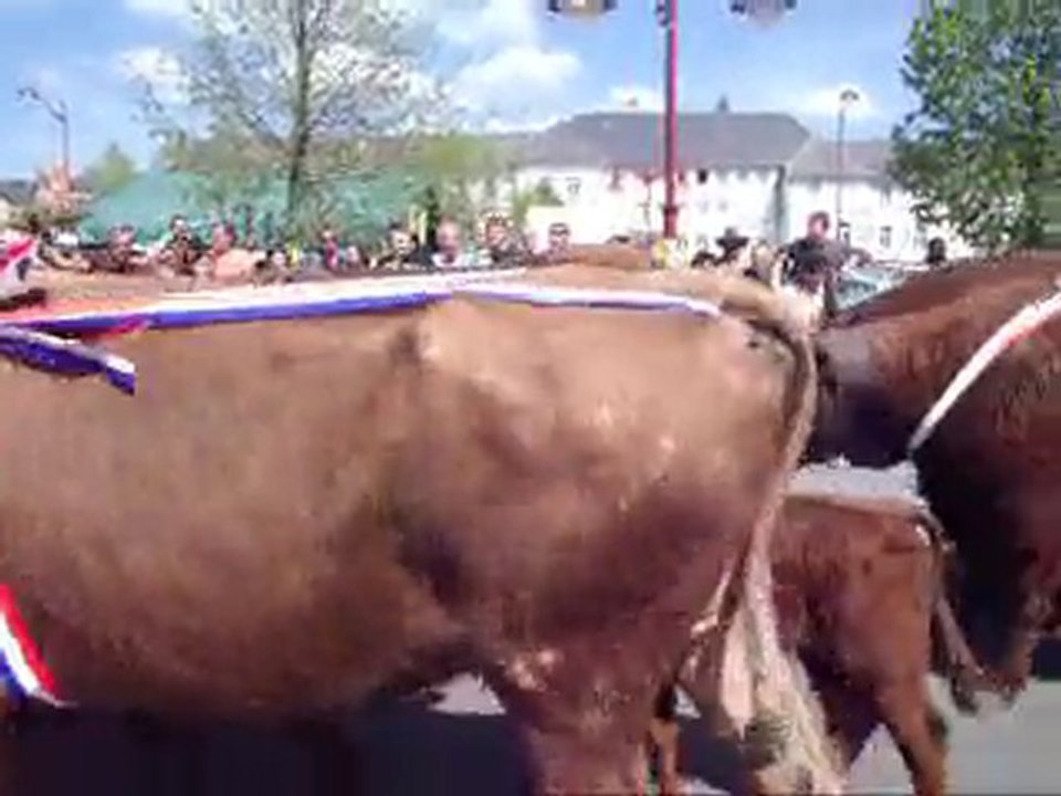 Fête de l'Estive à Allanche (Cantal) - 2 -