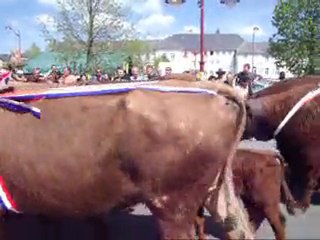 Fête de l'Estive à Allanche (Cantal) - 2 -