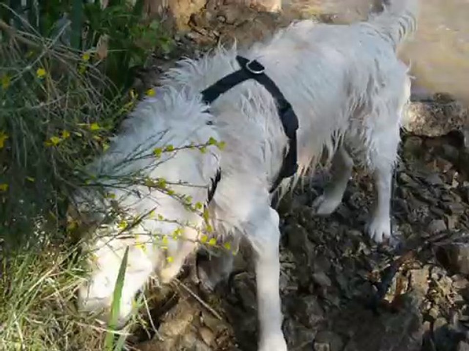 Aramis au lac d'Esparron_02