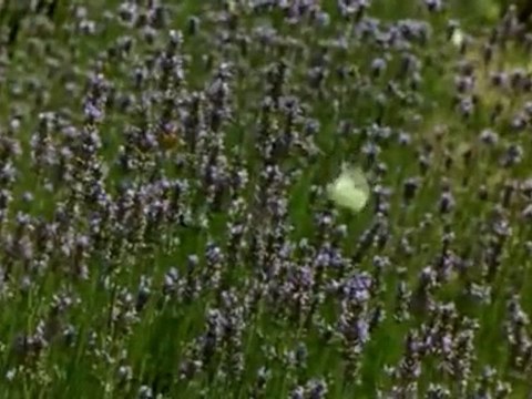 Ölumu Hatırlamak - İmam Gazali