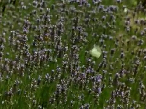 Ölümü Hatırlamak - İmam Gazali - Mini belgesel...