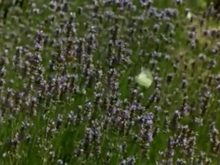 Ölümü Hatırlamak - İmam Gazali - Mini belgesel...