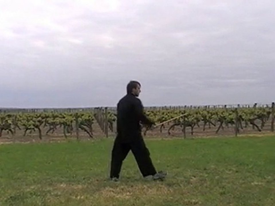 Canne chinoise - chinese cane