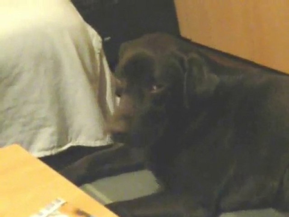 DUB fatiguer 22.05.2010