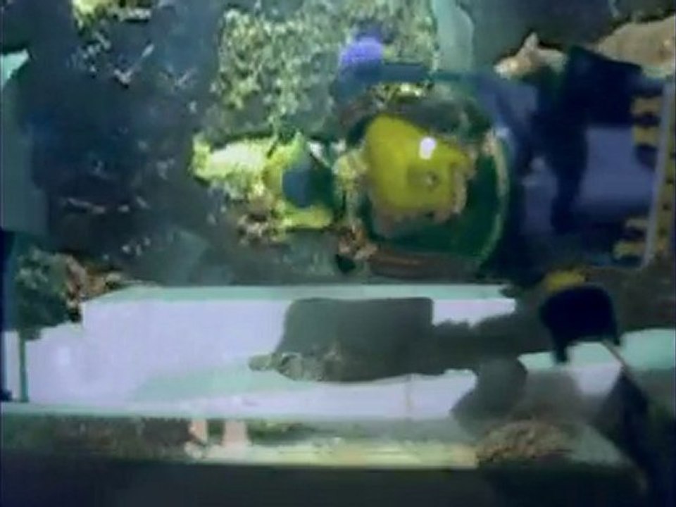La destruction du temple d'Atlantis