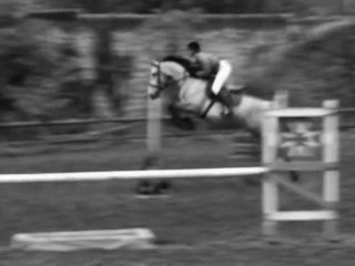 • Sa Tristesse fait mon désarrois.