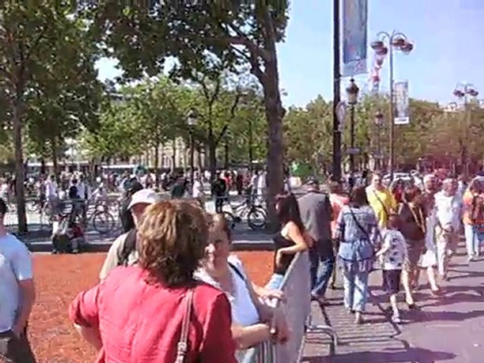 La Nature aux Champs-Elysées : vue d'en haut