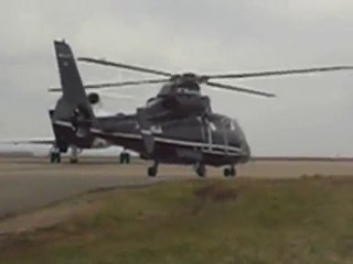 Dauphin mise en route