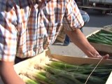 French farmers turn Champs Elysees green