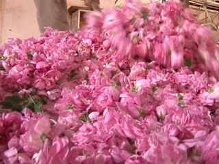 Flower power boosts local economy in Morocco