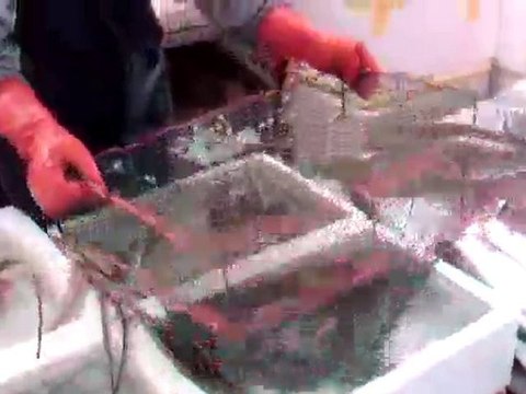 20100523-Honk-Kong (2)