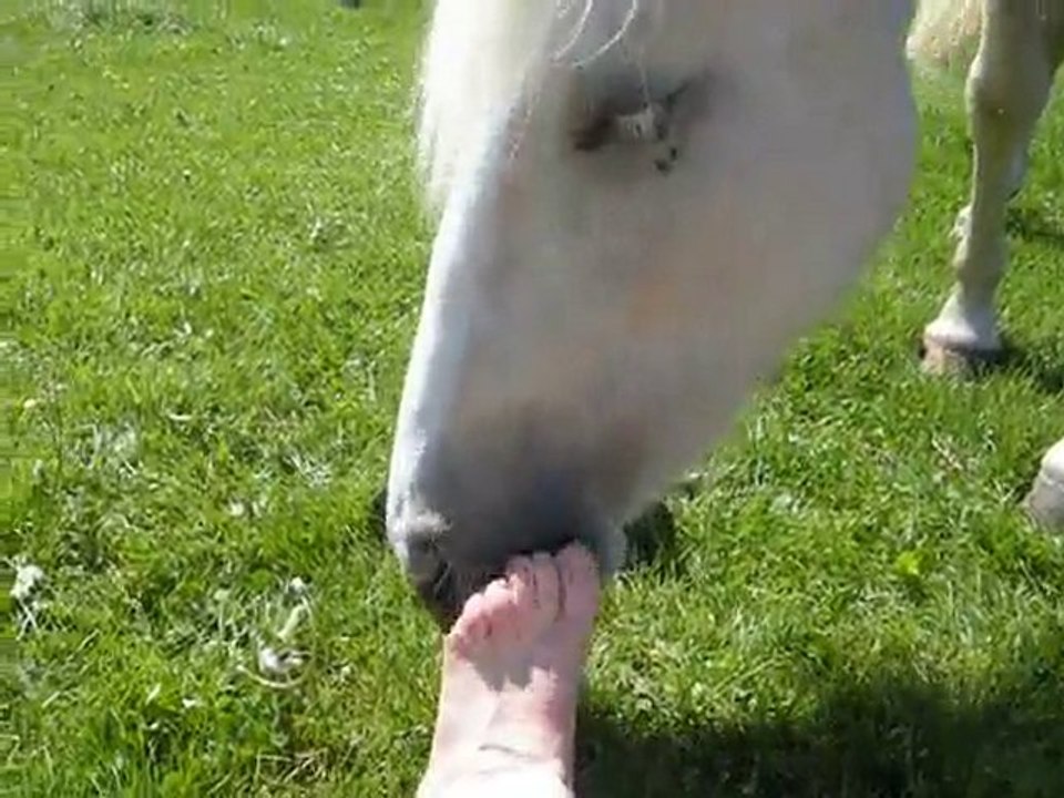 Ulane Et ma Chaussure