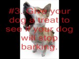 A Few Great Tips To Stop Your Dog From Barking