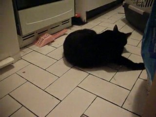 Voyou dans tout ses états