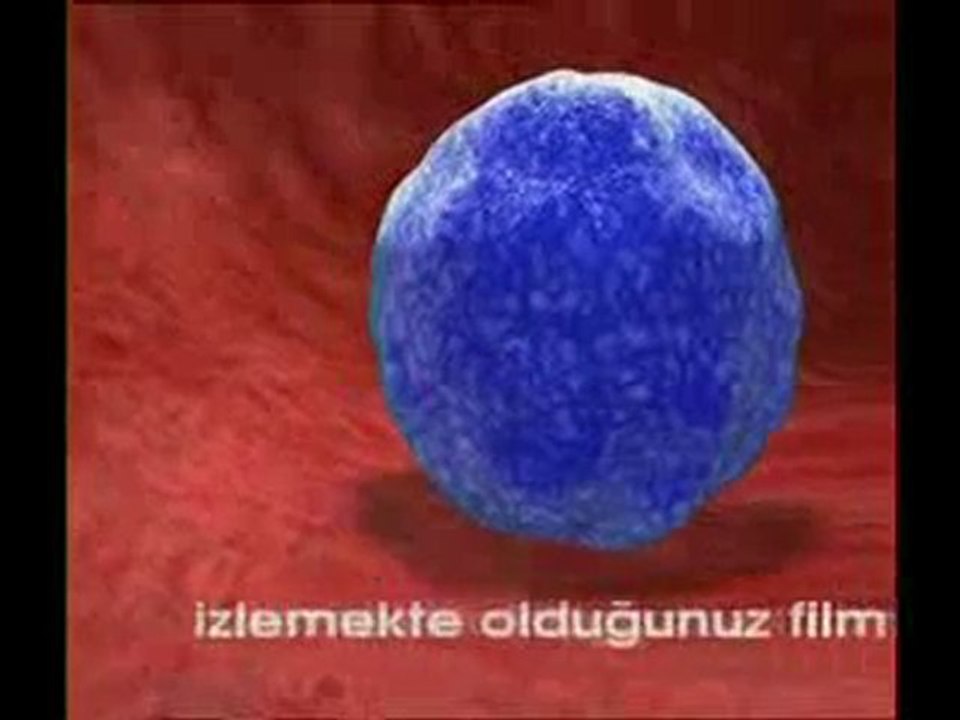 Spermyumurta buluşması gerçekleşiyor Dailymotion Video