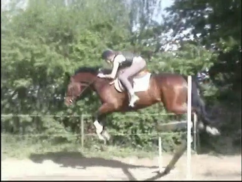 Summer du Jeb, séance d'obstacle =D