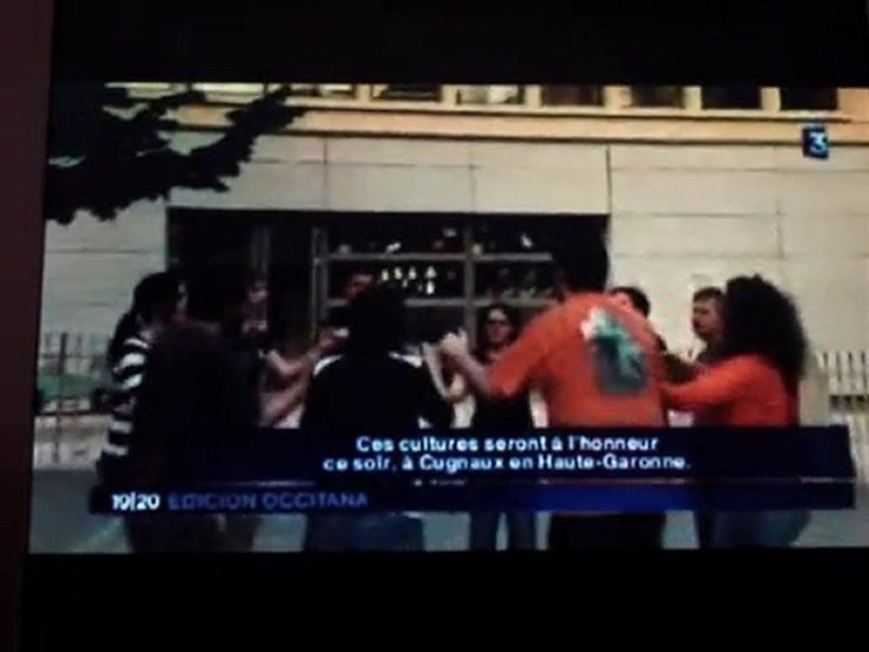 Fête de la Bretagne en pays d'Oc 2010 - France 3