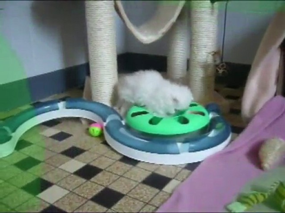 FLANELLE DU DIEU EROS