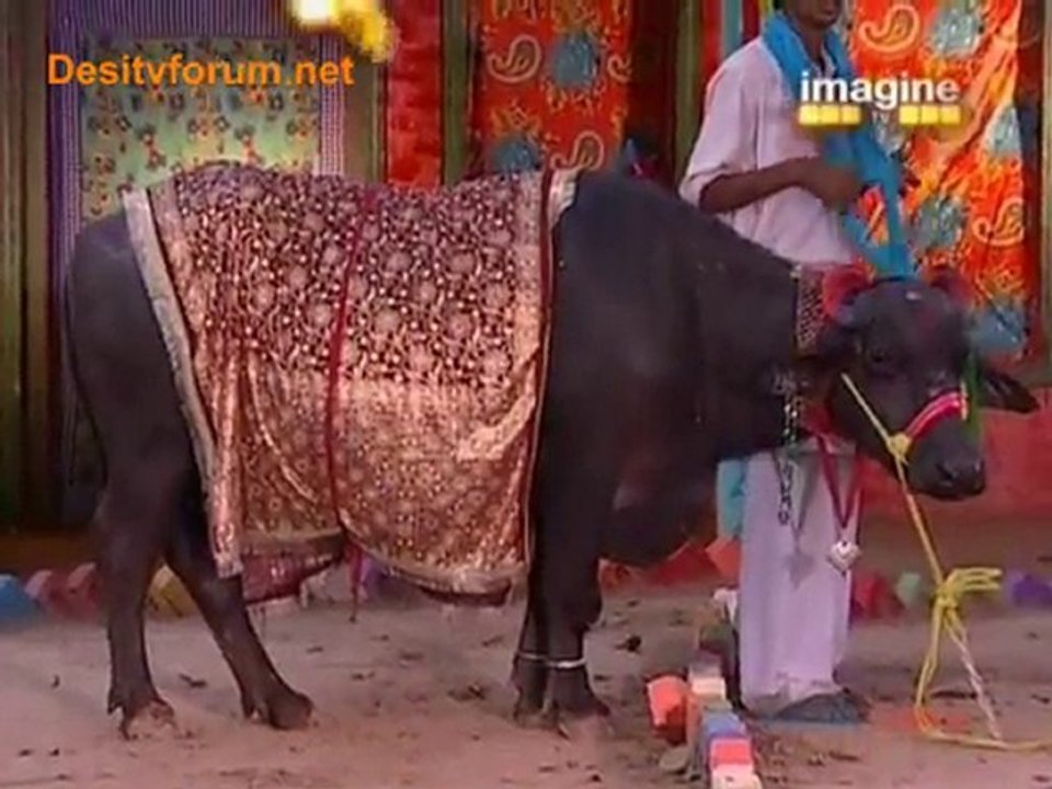 Desi Girls - 23rd May 2010 Watch Online - Part5