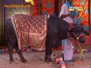 Desi Girls - 23rd May 2010 Watch Online - Part5