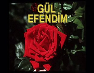 gül efendim Mustafa KOYAK  güllerin gülistanına saygı