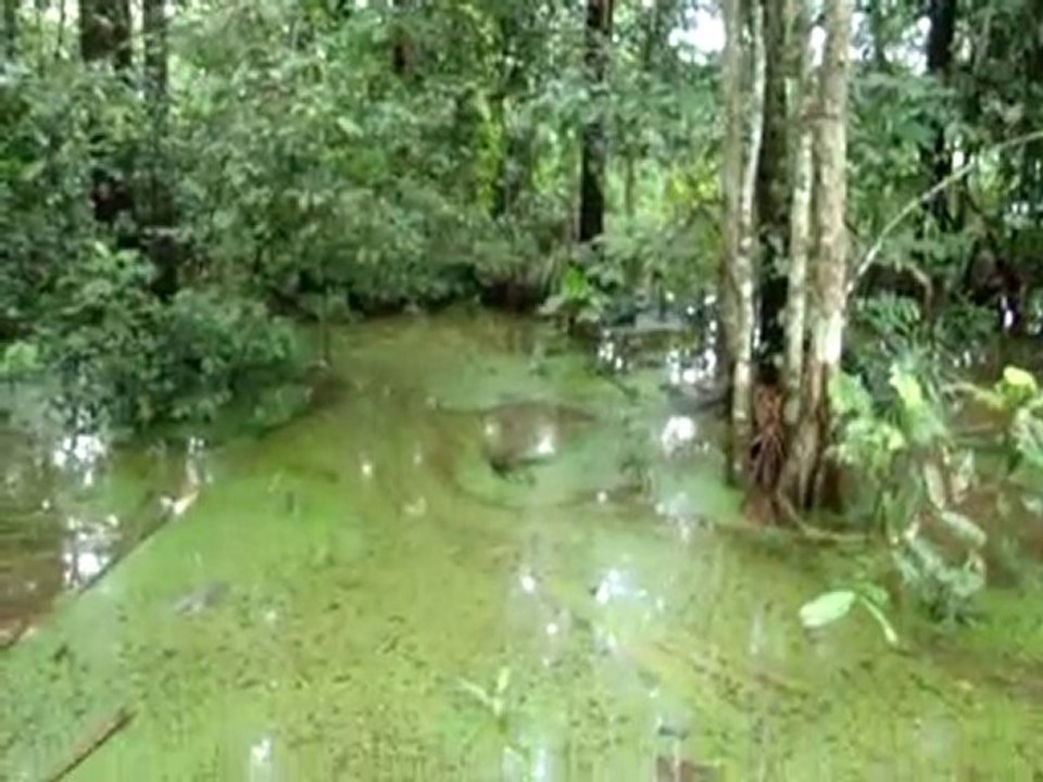 zoo1