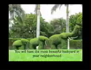 how to find a good landscaping contractor in Danville Calif