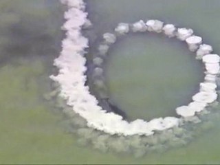 Şişe Burunlu Yunuslar Cine-izle.net