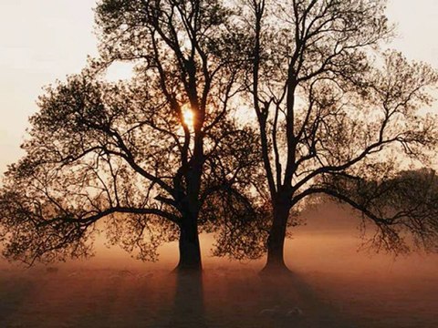 California Gurls by Katy Perry ft. Snoop Dogg