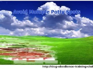 Essential Facts About Dog Potty Training