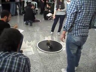 mini sumo robot fındık (itüro 2010)