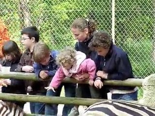 Zoo Palmyre