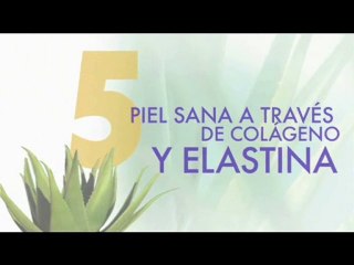 10 razones importantes aloe vera