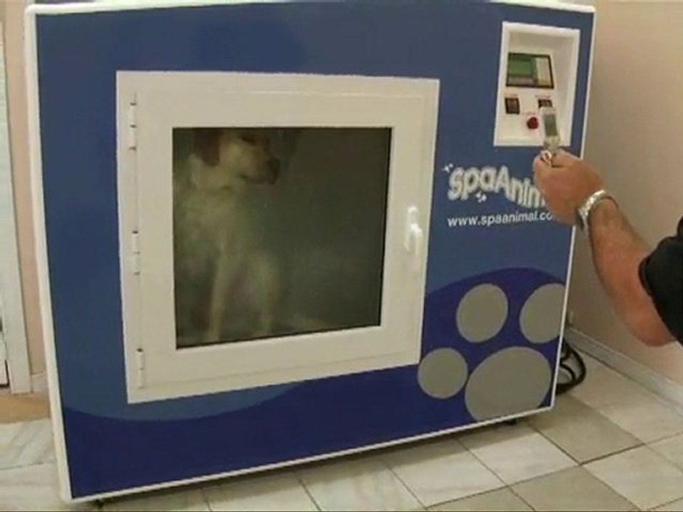 animal spa in a box