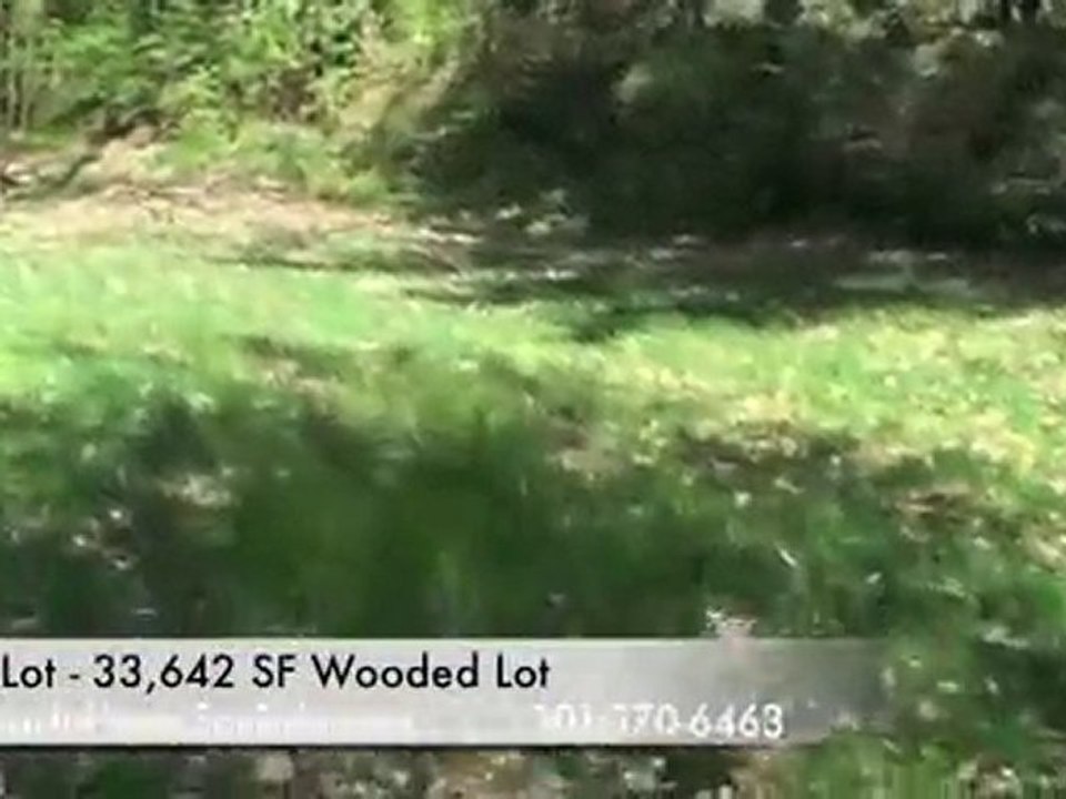 Real Estate Bethesda Md for SAle 33000sf wooded lot with Ne