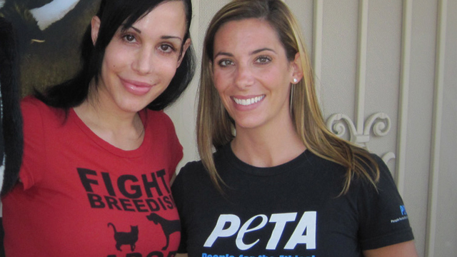 Shift Logic Episodes