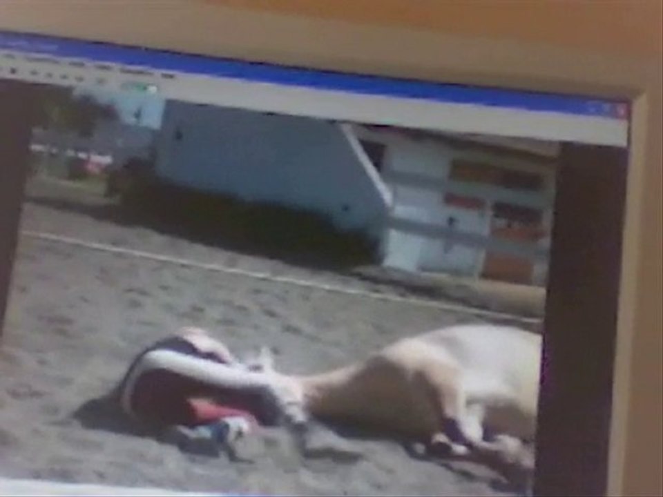 Prince mai et début juin 2010