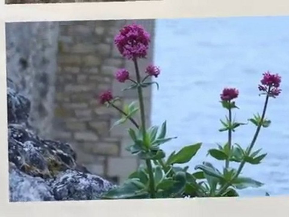 Souvenirs Mai 2010 en Charente-Maritime