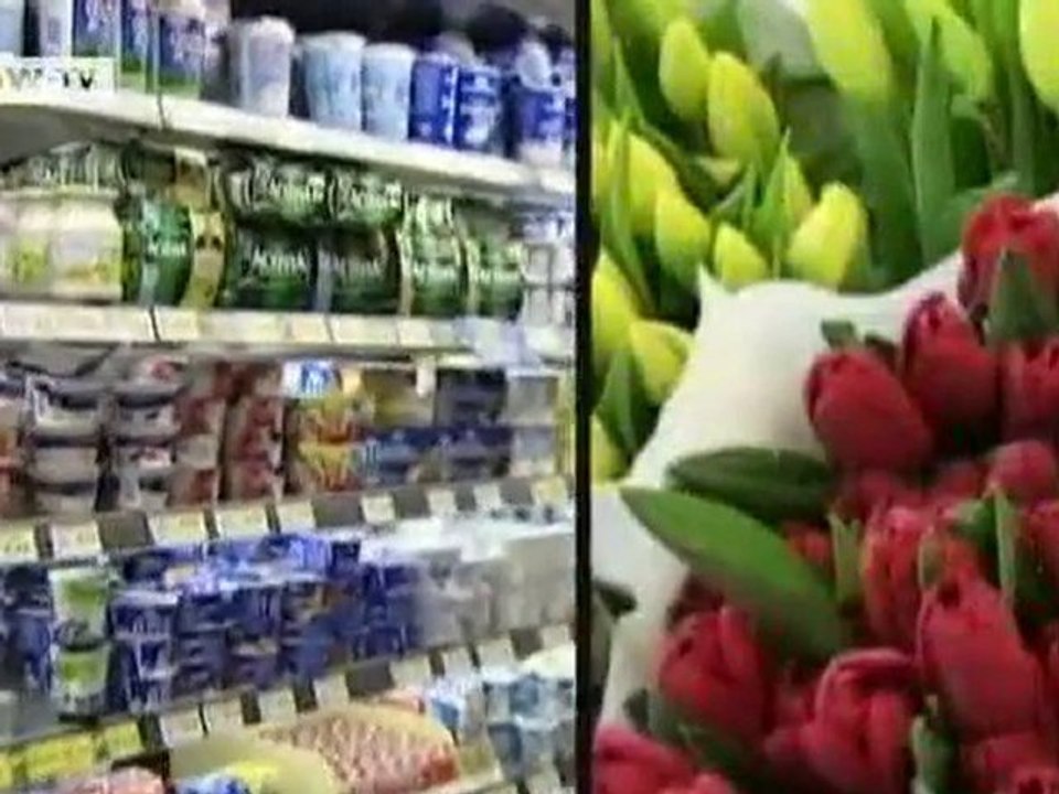 Under Pressure - the German government | People & Politics