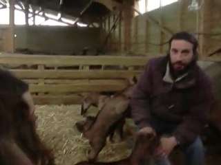 CEDRIC AUGE - AGRICULTEUR BIOLOGIQUE