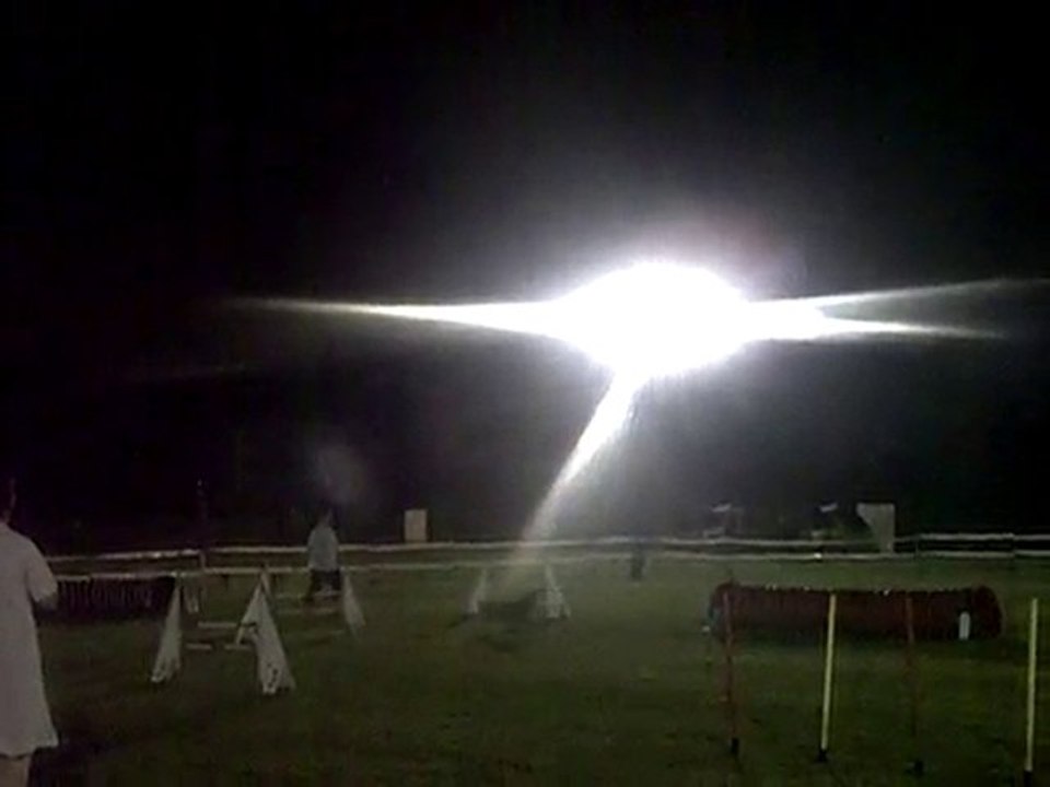 Dixie concours d'agility Ingwiller JUMPING 05/06/2010