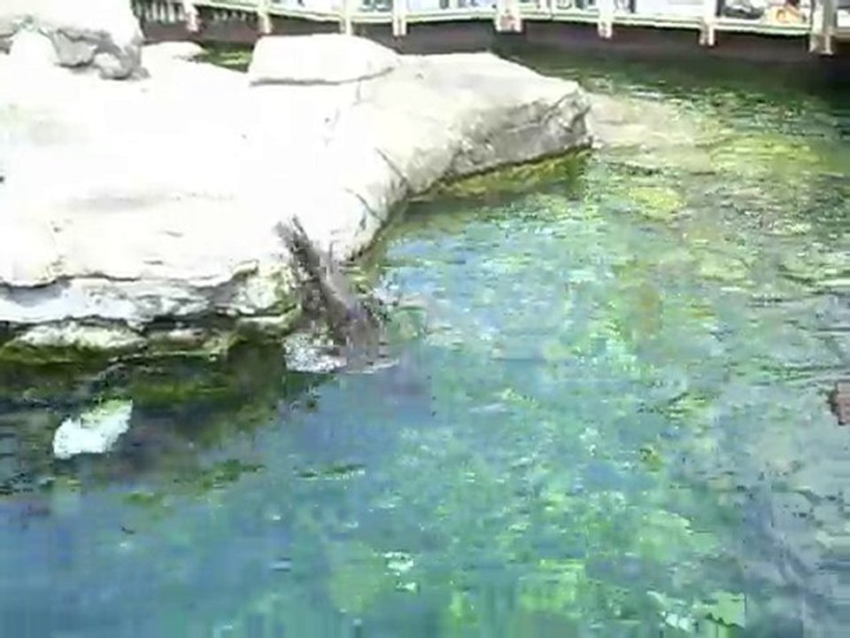 Zoo Bristol