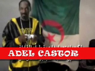 Algerie Declaration Snoop Dog Usa vs Algeria (funny)