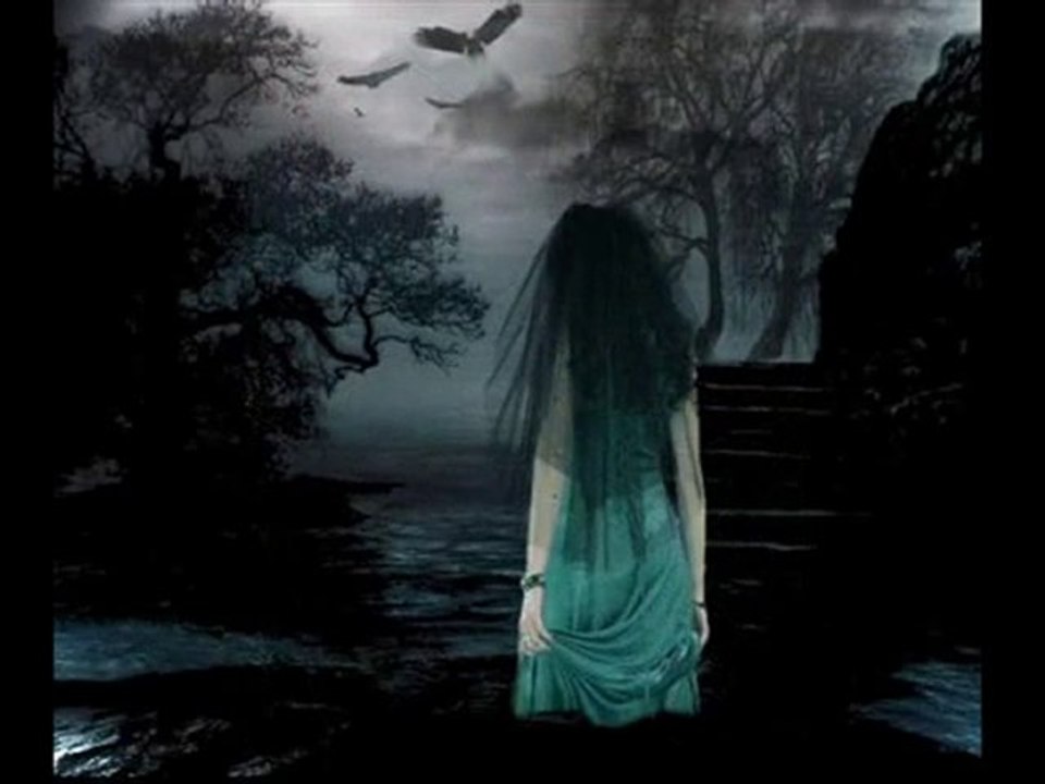 Bande annonce L'appel du sang