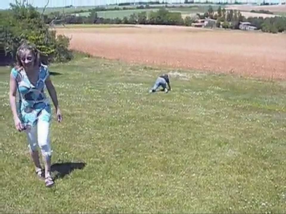 JOJO en Charente