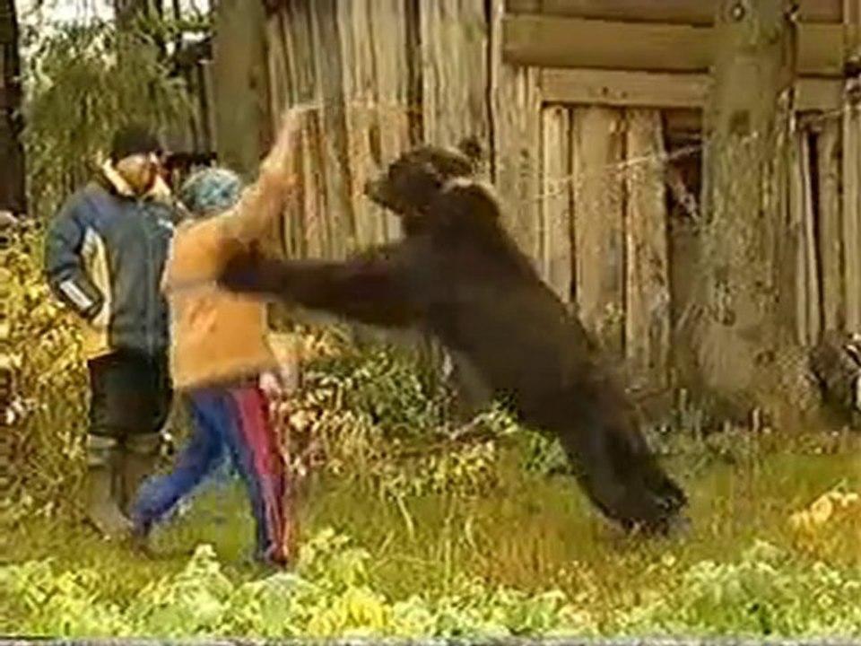 Ayı ile şaka olmaz