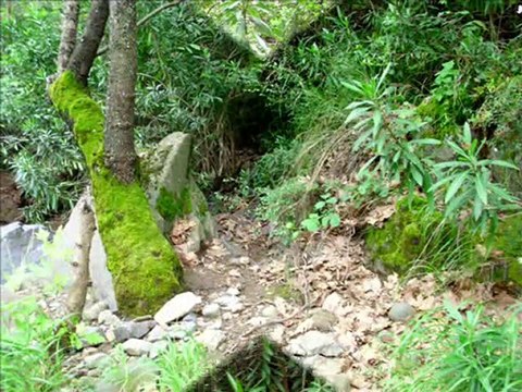 slayt-dikili nebiler köyü -parkur : 13.3 km