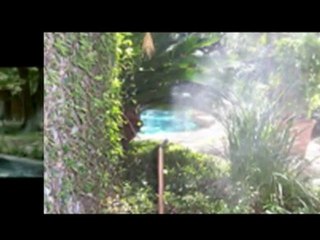 MosquitoNix Atlanta: Mosquito Pest Control