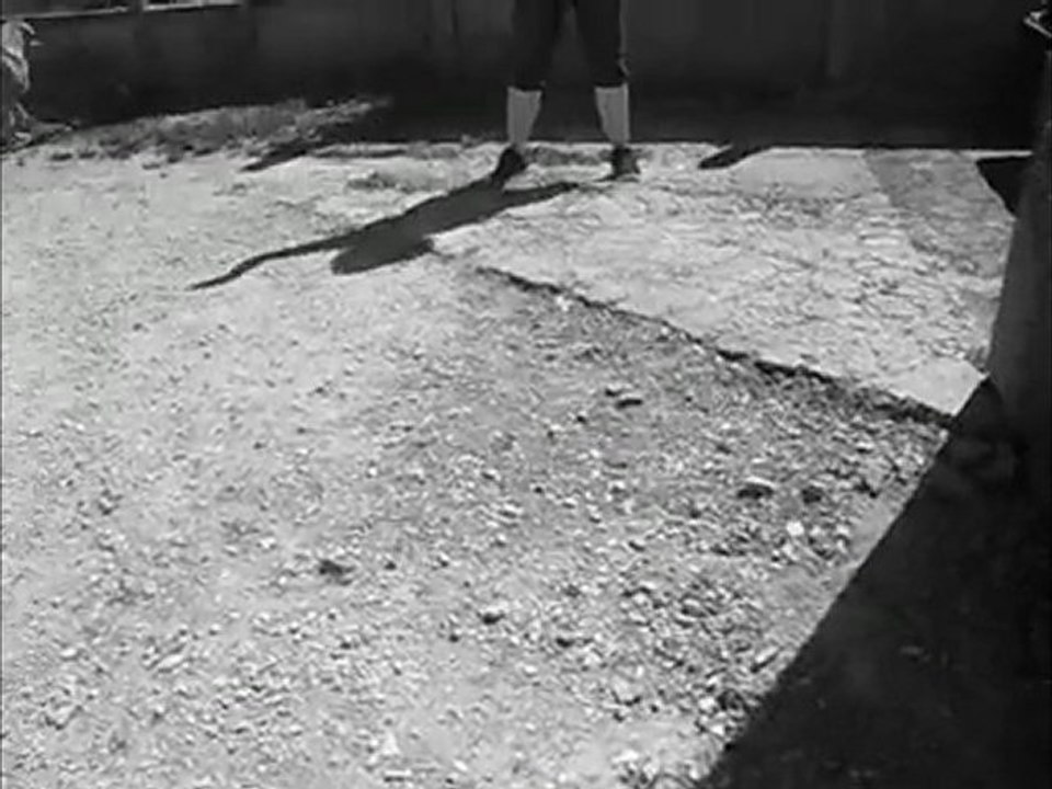 Jena Lee flashmob' =)