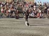 Le Prestige canin présente Pascale et Toupie en freestyle